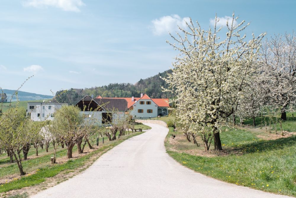 Obstgärten Wanderweg Pöllau