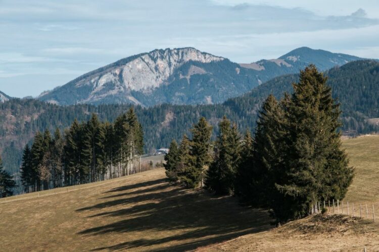 5 Wanderungen um und in Frohnleiten 8 Blick auf Rote Wand
