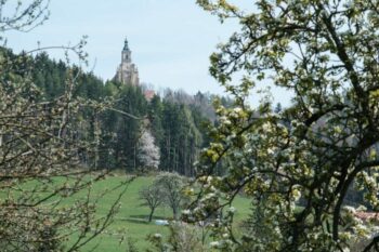 Pöllau Rundweg – Wandern über Pöllauberg bis Masenberg
