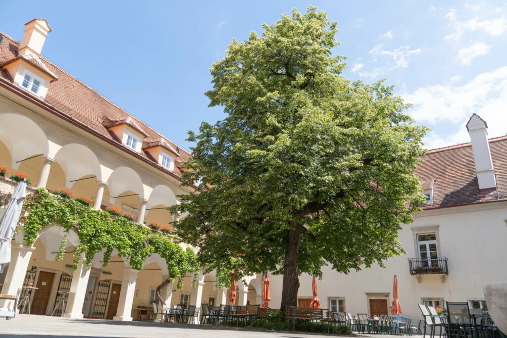2b Innenhof Schloss St Martin Graz