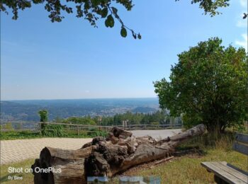 Das sind die 7 Summits von Graz 4 Plabutsch Blick auf Schlossberg