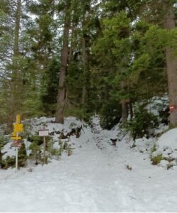 Wegmarkierung Waldweg zum Gipfelkreuz