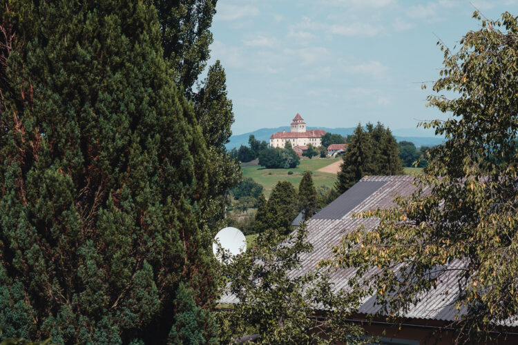 Blick auf Schloss Ehrenhausen