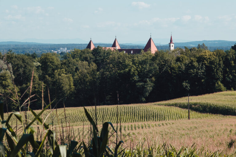 Schloss Spielfeld Fernblick
