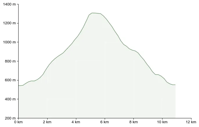 Höhenprofil zu Hohe Zetz (1.264m) von Anger aus