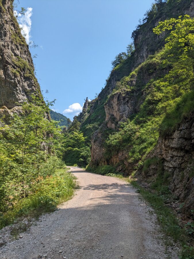 11 weg durch spitzenbachklamm