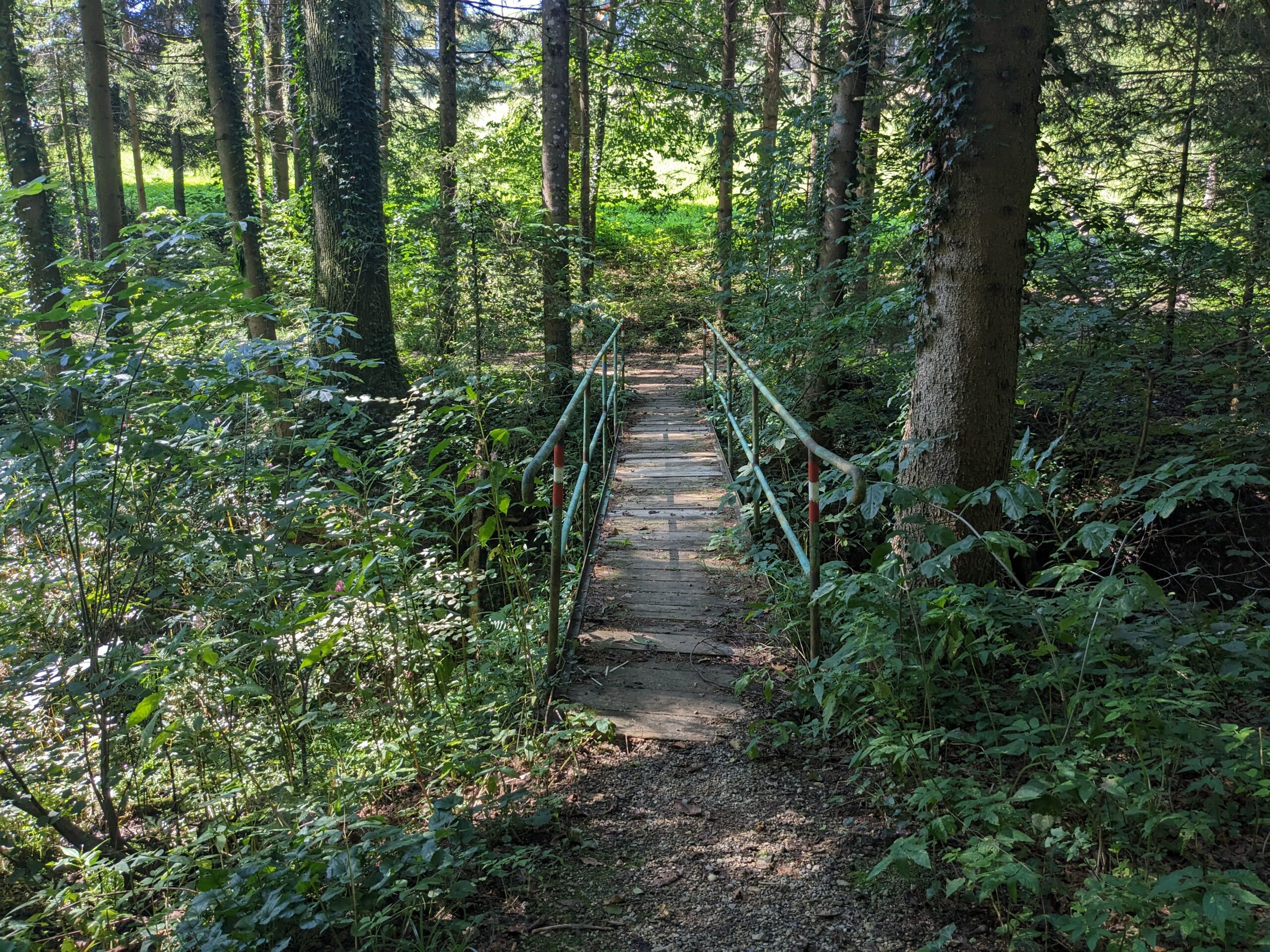 Kriterium Waldbaden für Wanderungen