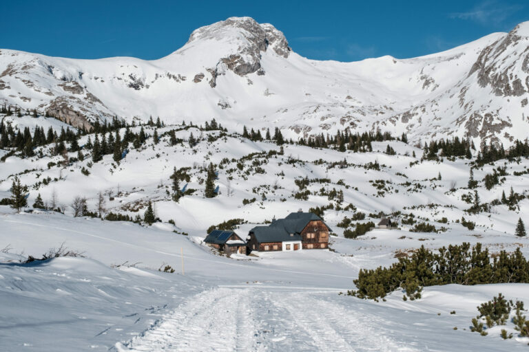 Zur Sonnschienhütte als Schneeschuhwanderung von Jassing - Titelbild