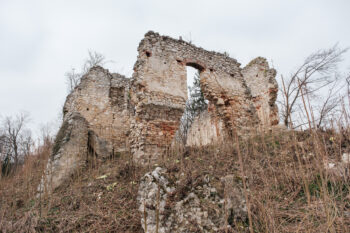 wildon schlossberg ruine