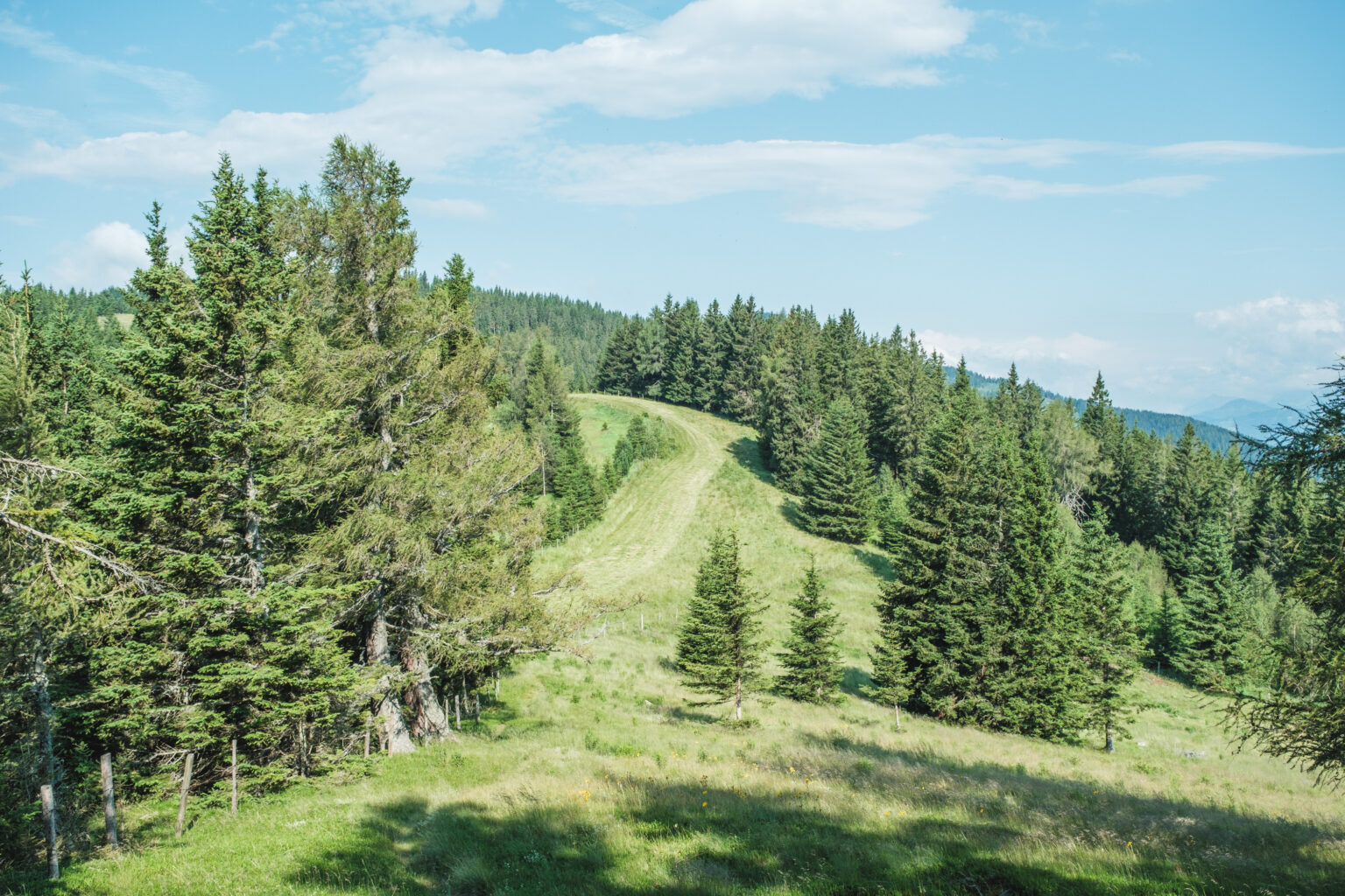 5 Wanderungen um und in Frohnleiten 2 Wald- und Wiesenweg
