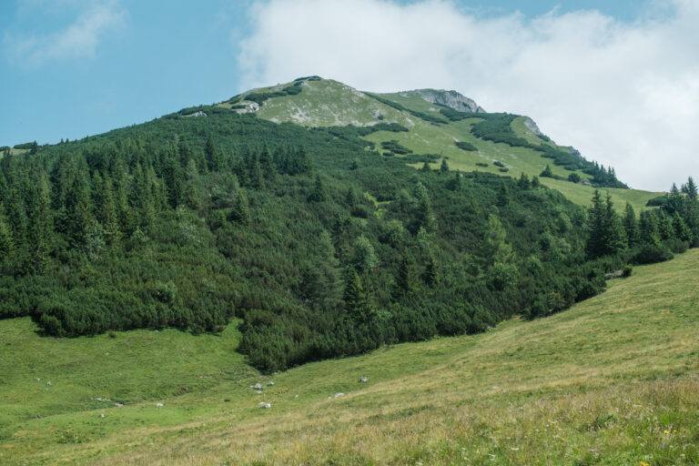 Kreuzkogel (2.011 m) – Rundweg von Admont - Titelbild