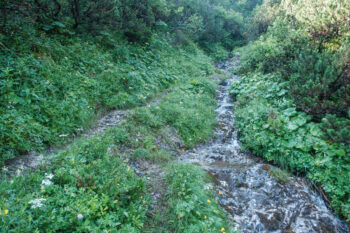 4 wanderweg am wasser