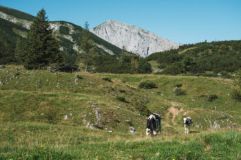 10 hochweichsel hochschwab