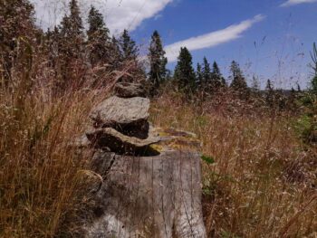 6 glucksturmchen bauen