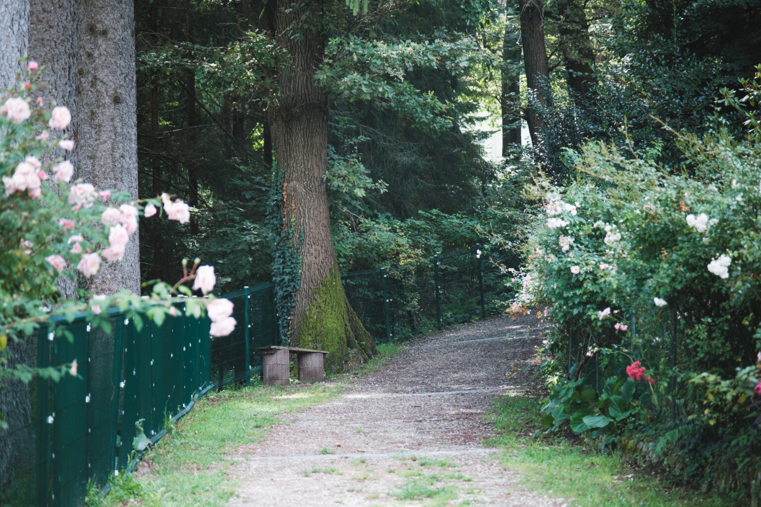 Graz: 7 schöne Stadtwanderwege und Spaziergänge 2 wanderweg andritz