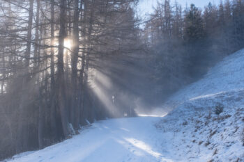 3 lichtstimmung winterwandern