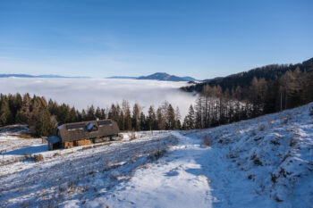 Auf die Mugel (1.630 m) – von Niklasdorf aus