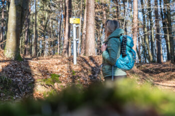 7 wald wegweiser erlebensweg der sinne