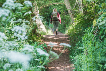 Alpenbockweg – Rein ins Vergnügen 4 3 stift rein wandern wald