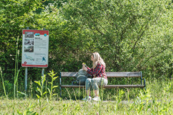 Alpenbockweg – Rein ins Vergnügen 6 5 stift rein praelatenweg
