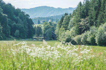 Alpenbockweg – Rein ins Vergnügen 7 6 aussicht wiesen stift rein barfussweg