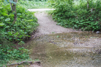 Alpenbockweg – Rein ins Vergnügen 8 7 muehlbach stift rein