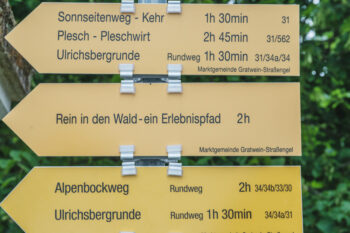 Rein in den Wald – ein Erlebnispfad 2 1 wandertafeln stift rein