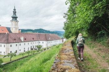 Rein in den Wald – ein Erlebnispfad 5 4 wanderweg oberhalb stift