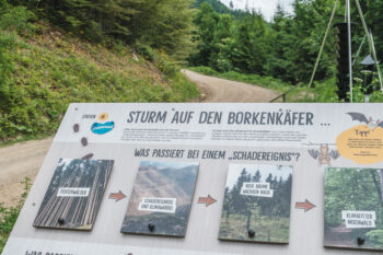 Rein in den Wald – ein Erlebnispfad 7 6 themenweg stift rein