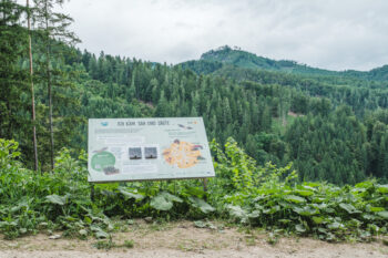 Rein in den Wald – ein Erlebnispfad 8 7 rein in den wald erlebnispfad