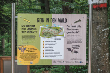 Rein in den Wald – ein Erlebnispfad 9 8 rein in den wald erlebnispfad