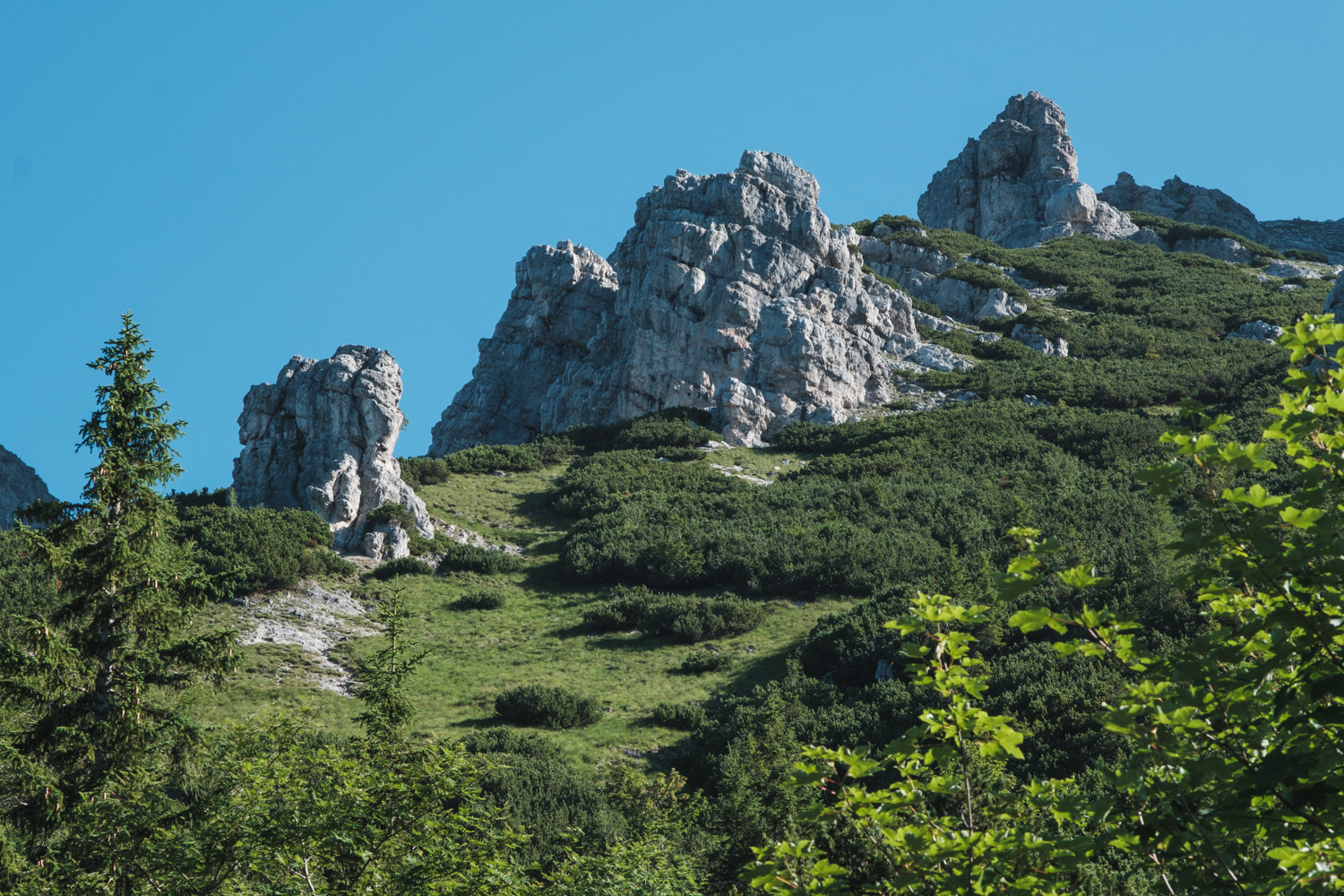 Wanderung zum Buchsteinhaus 10 10 weiterweg richtung buchstein