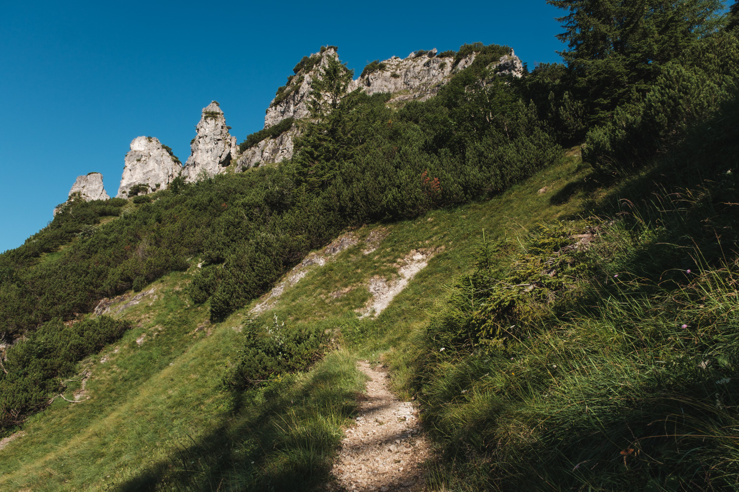 Wanderung zum Buchsteinhaus 6 5 letzte serpentinen buchsteinhaus