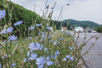 Zisterzienserweg – Wallfahrtskirche Maria Straßengel bis Stift Rein 9 8 strasse wegewarte