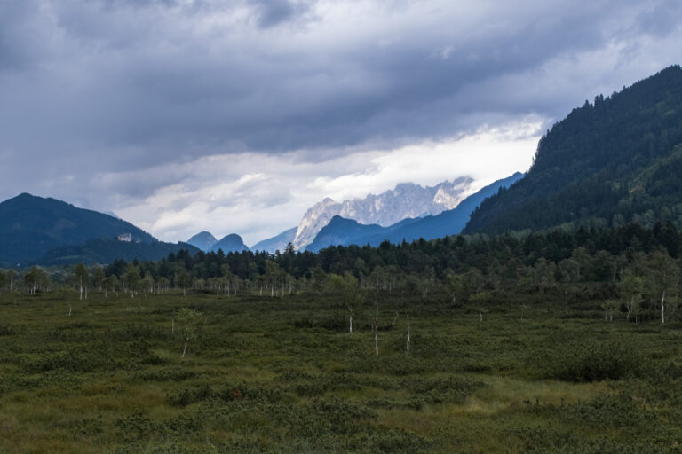 Pürgschachen Moor Rundweg in Ardning - Titelbild