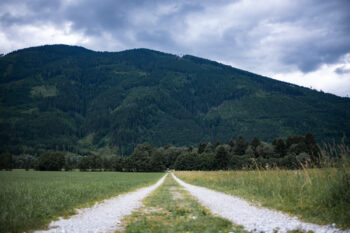 Pürgschachen Moor Rundweg in Ardning 1 puergschachen moor wanderweg