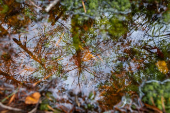 puergschachenmoor spiegelung