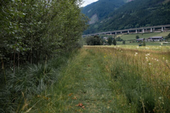 Pürgschachen Moor Rundweg in Ardning 4 strassenblick puergschachen moor