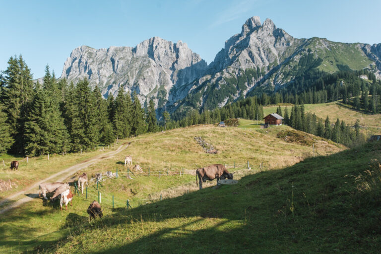 Wanderung zur Mödlingerhütte - Titelbild