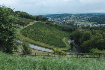 Deutschlandsberger Klause mit Burg Deutschlandsberg 10 ausblick schilcherland