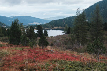 11 grosser winterleitensee herbst