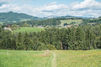 16 wiesenweg