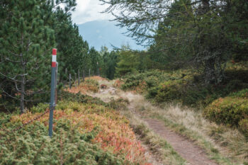 17 herrlicher wanderweg winterleiten sabathy
