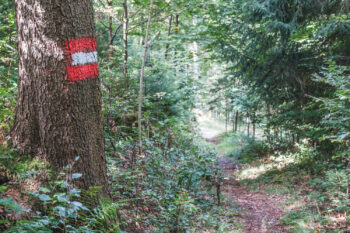17 waldweg