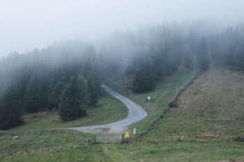 5 forstweg hohe ranach murtal