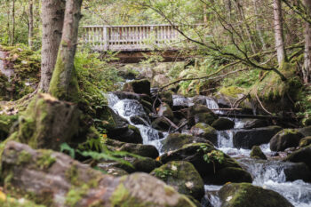 5 granitzenbach bruecke