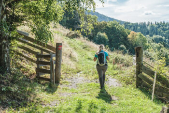 5 wanderweg westhang schoeckl