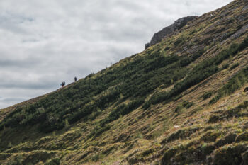 Polster (1.908 m) – Wanderung vom Präbichl als Rundweg 16 abstieg polster