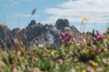 Polster (1.908 m) – Wanderung vom Präbichl als Rundweg 14 spaetsommer polster eisenerzer alpen