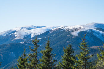 12 blick zum ameringkogel von fensteralpe